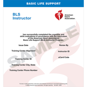 BLS Instructor (eCard)